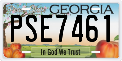 GA license plate PSE7461
