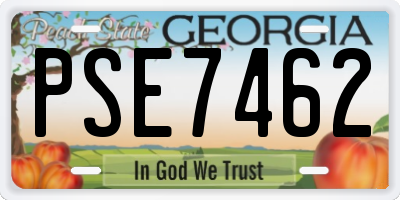 GA license plate PSE7462