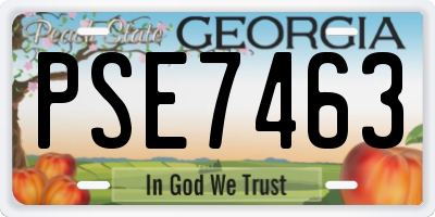 GA license plate PSE7463