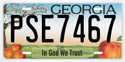 GA license plate PSE7467