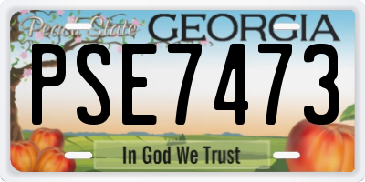 GA license plate PSE7473