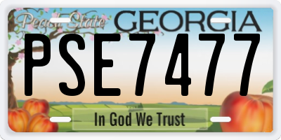 GA license plate PSE7477