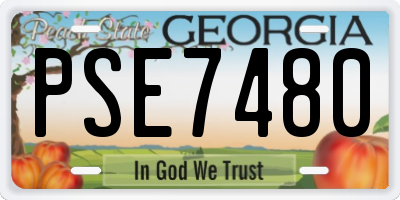 GA license plate PSE7480