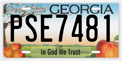 GA license plate PSE7481