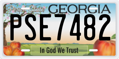 GA license plate PSE7482