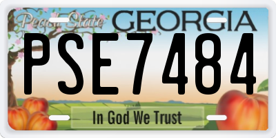 GA license plate PSE7484