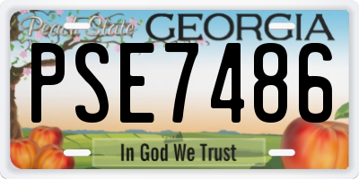 GA license plate PSE7486