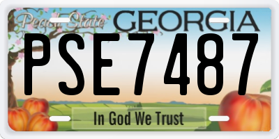 GA license plate PSE7487