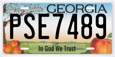 GA license plate PSE7489