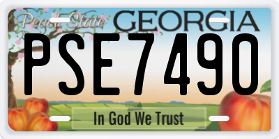 GA license plate PSE7490