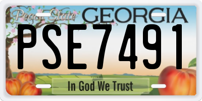 GA license plate PSE7491