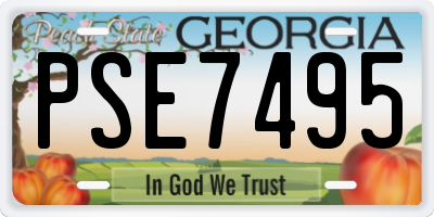 GA license plate PSE7495
