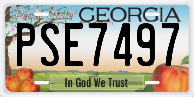 GA license plate PSE7497