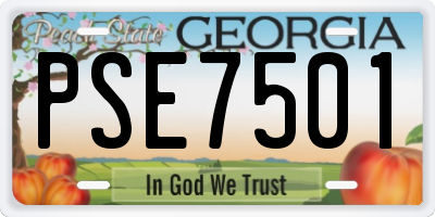 GA license plate PSE7501