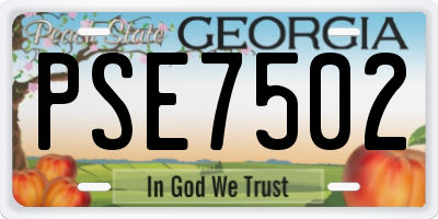 GA license plate PSE7502