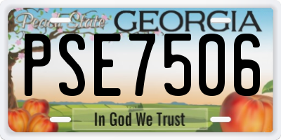 GA license plate PSE7506