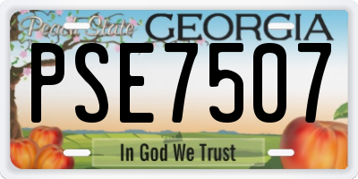 GA license plate PSE7507