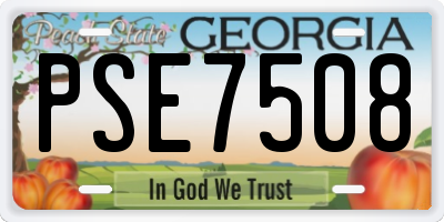GA license plate PSE7508