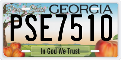 GA license plate PSE7510