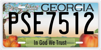 GA license plate PSE7512