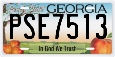 GA license plate PSE7513