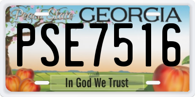 GA license plate PSE7516