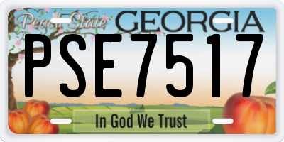 GA license plate PSE7517