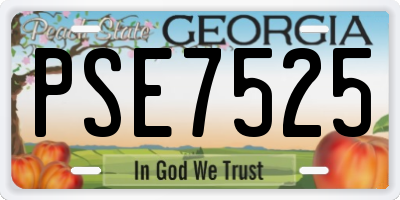 GA license plate PSE7525