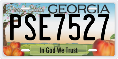 GA license plate PSE7527