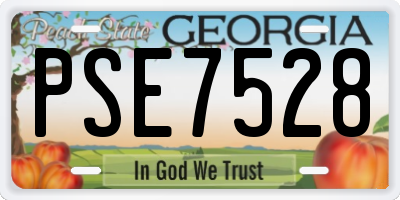 GA license plate PSE7528