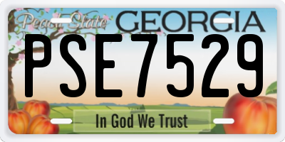 GA license plate PSE7529