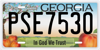GA license plate PSE7530