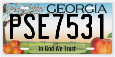 GA license plate PSE7531