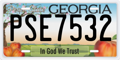 GA license plate PSE7532