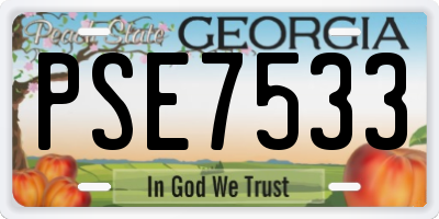 GA license plate PSE7533