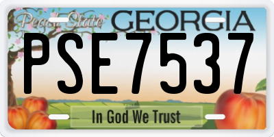 GA license plate PSE7537