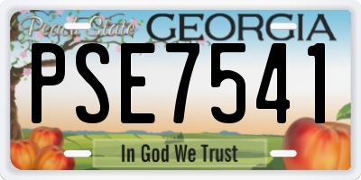 GA license plate PSE7541