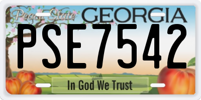 GA license plate PSE7542