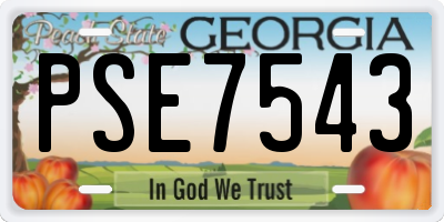 GA license plate PSE7543