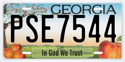 GA license plate PSE7544