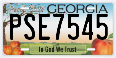 GA license plate PSE7545