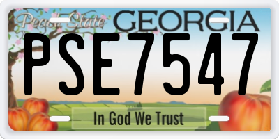 GA license plate PSE7547