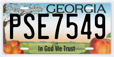 GA license plate PSE7549