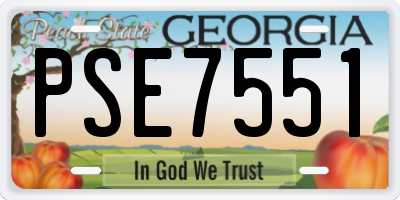 GA license plate PSE7551