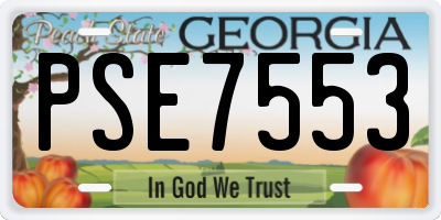 GA license plate PSE7553