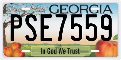 GA license plate PSE7559