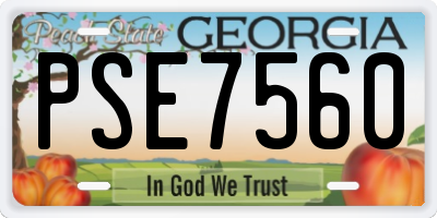 GA license plate PSE7560