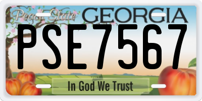 GA license plate PSE7567