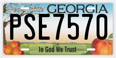GA license plate PSE7570
