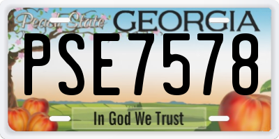 GA license plate PSE7578